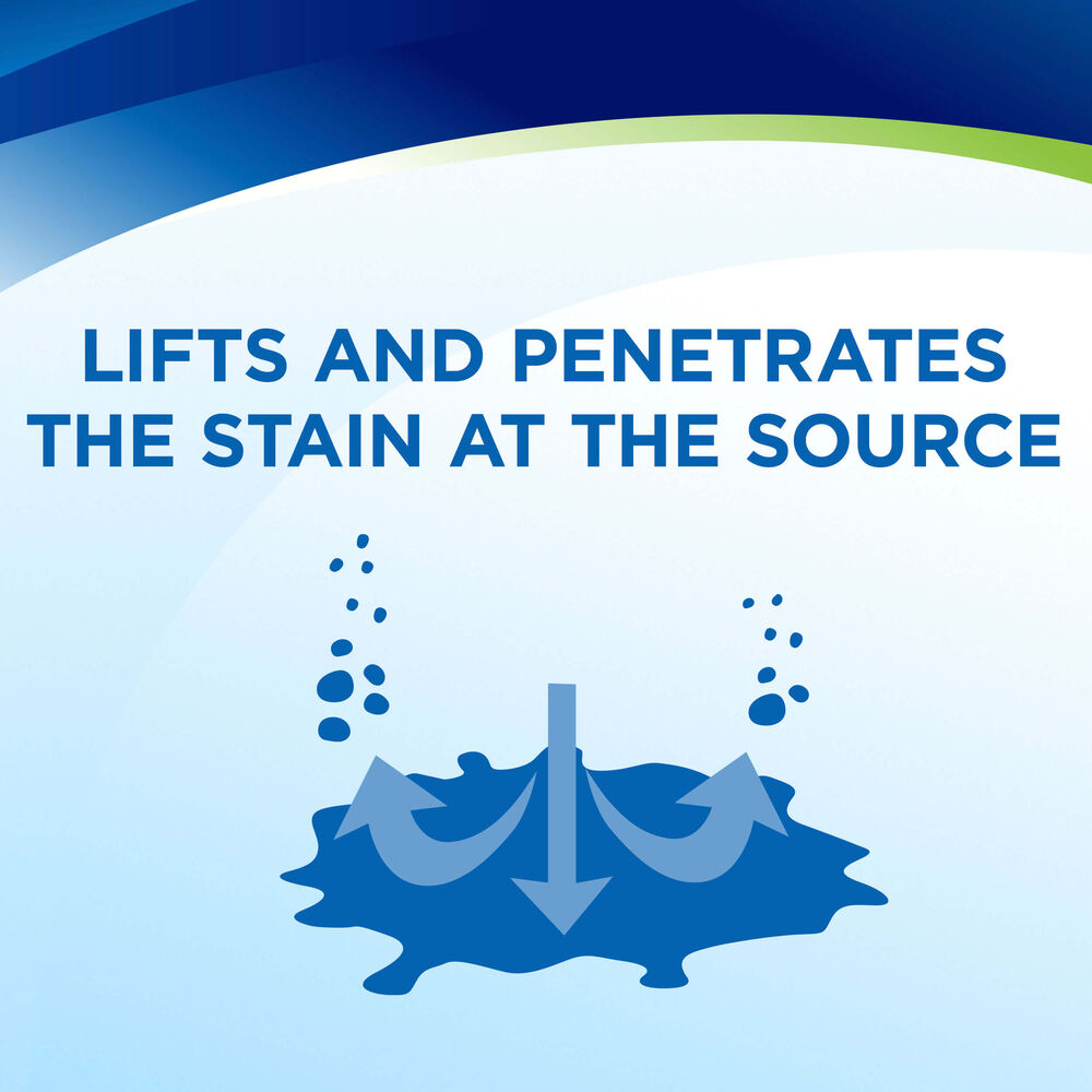 Woolite® INSTAclean® Stain Remover Woolite® Carpet Cleaner